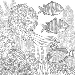 Stylized composition of tropical fish, calamari (squid), underwater seaweed, corals and starfish. Freehand sketch for adult anti stress coloring book page with doodle and zentangle elements.