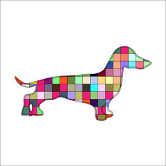 Vector silhouette of colorful Dachshund dog on a white background