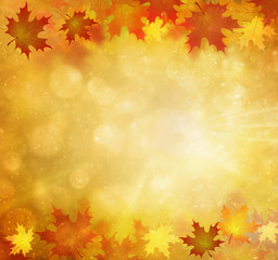 Naklejka premium Beautiful sunny colorful autumn season copy space background. Maple leaves on blurry bright golden red bokeh background with light beams and raindrops. Autumn season illustration.