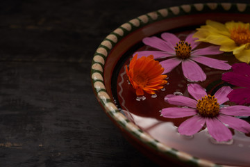 colored flowers in a bowl of water