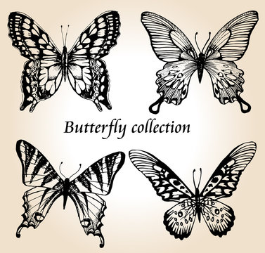 Butterfly set. Insect sketch collection for design and scrapbooking, vector hand drawn illustration, silhouette, isolated