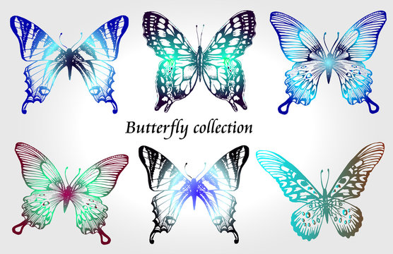 Butterfly colorful set. Insect sketch collection for design and scrapbooking, vector hand drawn illustration, silhouette, isolated