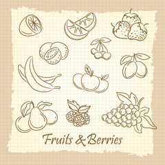 Popular hand drawn fruits and berries on vintage notebook page. Vector illustration