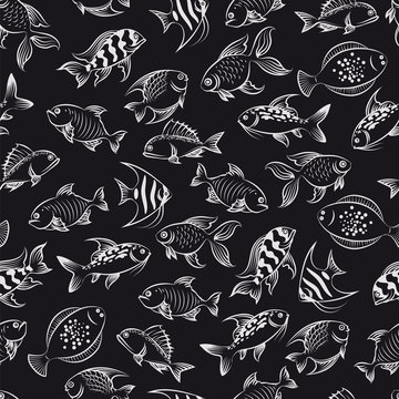 Monochromic seamless pattern with hand drawn fish vector