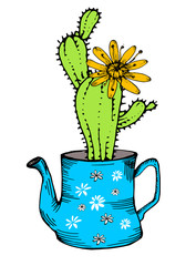 Hand drawn cactus with flower in teapot, isolated