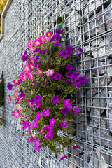Purple Flowers on the Stone Cage  for a decoration on outdoor izmir,turkey