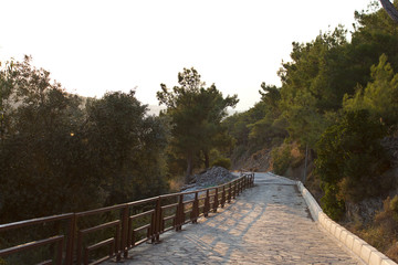 Pathway of Balcova forest  sun is shining  spring time in izmir ,Turkey
