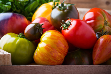 Composition of colorful tomatoes in summer harvest time