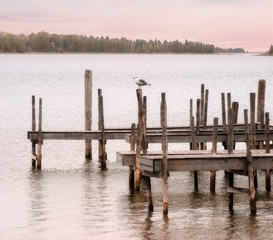 Fototapeta premium Lake Huron, Gull And Dock