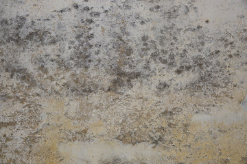 Traditional Portuguese tiles