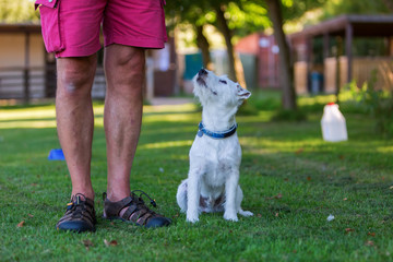 Obraz premium man is training with his dog