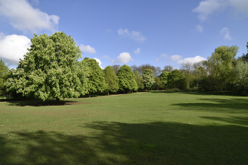 イギリスの田園都市：レッチワースの公園、ノートンコモン