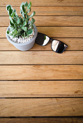 wooden table with plant pot and sun glasses