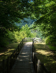 Roadside rest area and overlook in Tennessee