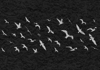Fototapeta premium Flying birds silhouettes on black grunge background. Vector illustration