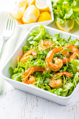 Seafood shrimp lettuce salad on white plate