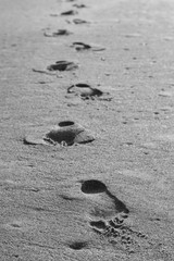 Footsteps on the beach.  Black and white image of footprints in the sand on a North Carolina beach. 