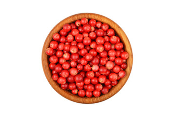 Lingonberry (Vaccinium vitis-idaea)