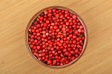 Lingonberry (Vaccinium vitis-idaea)