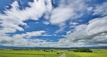 大空と初秋の田園風景