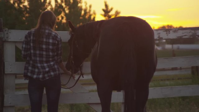 Sunset silhouette of young woman and horse