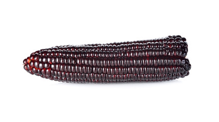 uncooked purple corn on white background