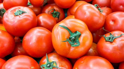 the red color of tomato on shelf for sell in supermarket