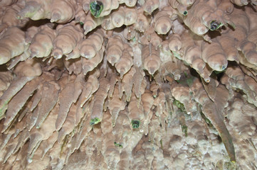 Sea Cave Kao-Kob in Trang Thailand