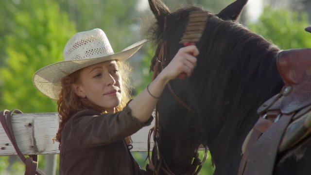 Woman brushing the horse's mane