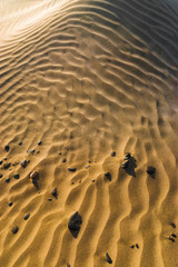 Fototapeta na wymiar Sand dunes on the beach Famara. Lanzarote. Canary Islands. Spain