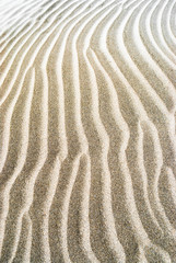 Sand dunes on the beach Famara.  Lanzarote. Canary Islands. Spain