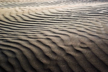 Sand dunes on the beach Famara.  Lanzarote. Canary Islands. Spain
