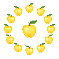 Apples in a wheel, Golden Delicious, fresh, natural, ripe, orchard garden fruit in a circle, isolated on a white background. 