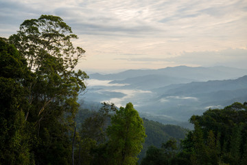 Fototapeta na wymiar Morning scenery of tropical treetop, misty layered hills and foggy valley