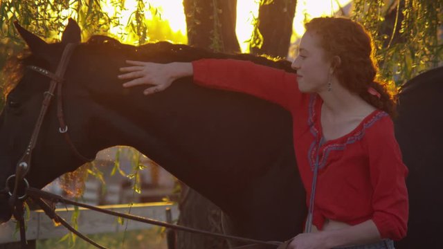Young woman petting large horse