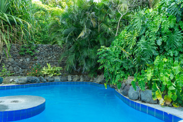 pool on green garden