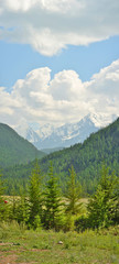 Fototapeta premium High mountain ridge and snow rocks with forest