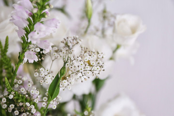 Beautiful flower bouquet, closeup