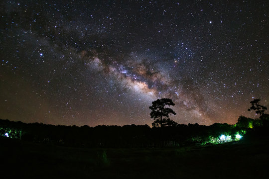 Milky Way and silhouette of tree at Phu Hin Rong Kla National Pa