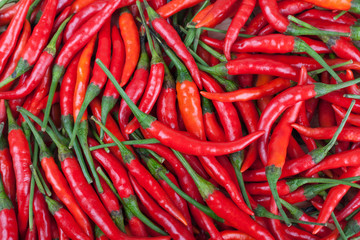 red chili or chilli cayenne pepper