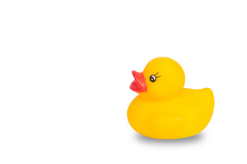 Rubber duck isolated on white background