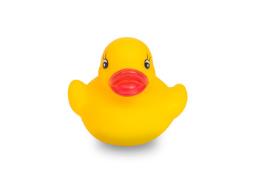 Yellow rubber duck on White Background