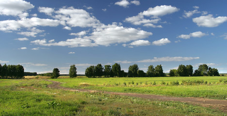 Fototapeta premium walk in the summer on a beautiful and vast fields