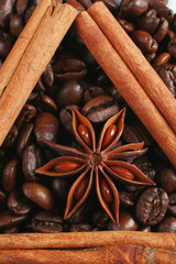 cinnamon and star anise