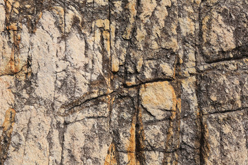rocks