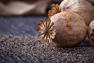 Poppy seeds and heads on wooden background