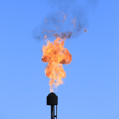 burning torch