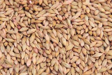 selected grain