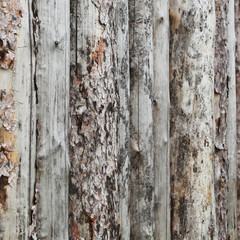 texture logs