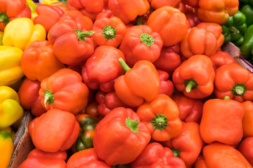 Red orange bell pepperss for sale at the city farmers market